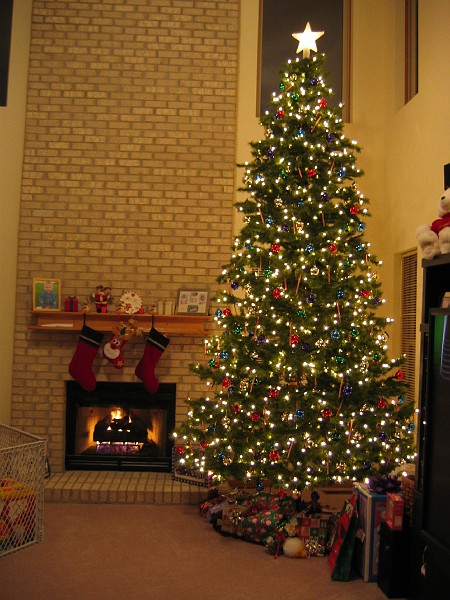 christmas2 025.jpg